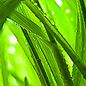 Image 3.3